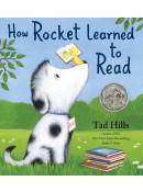 How Rocket Learned to Read